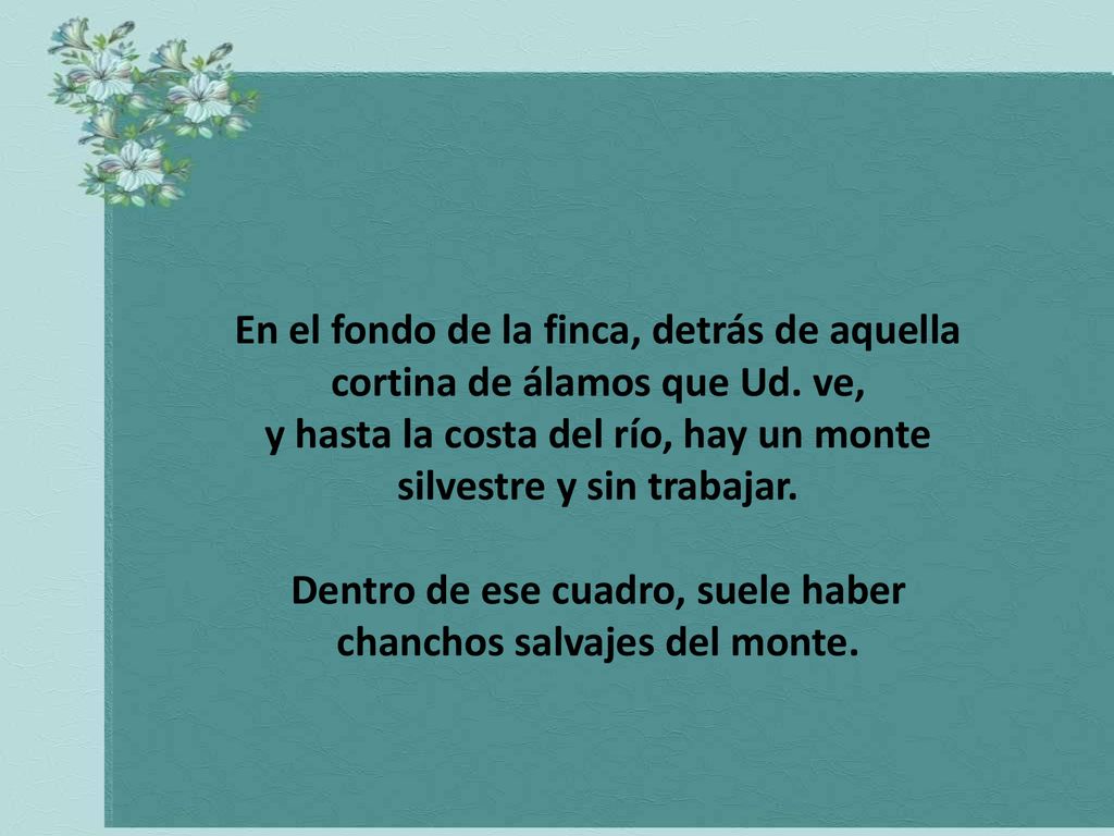 y hasta la costa del río, hay un monte silvestre y sin trabajar.