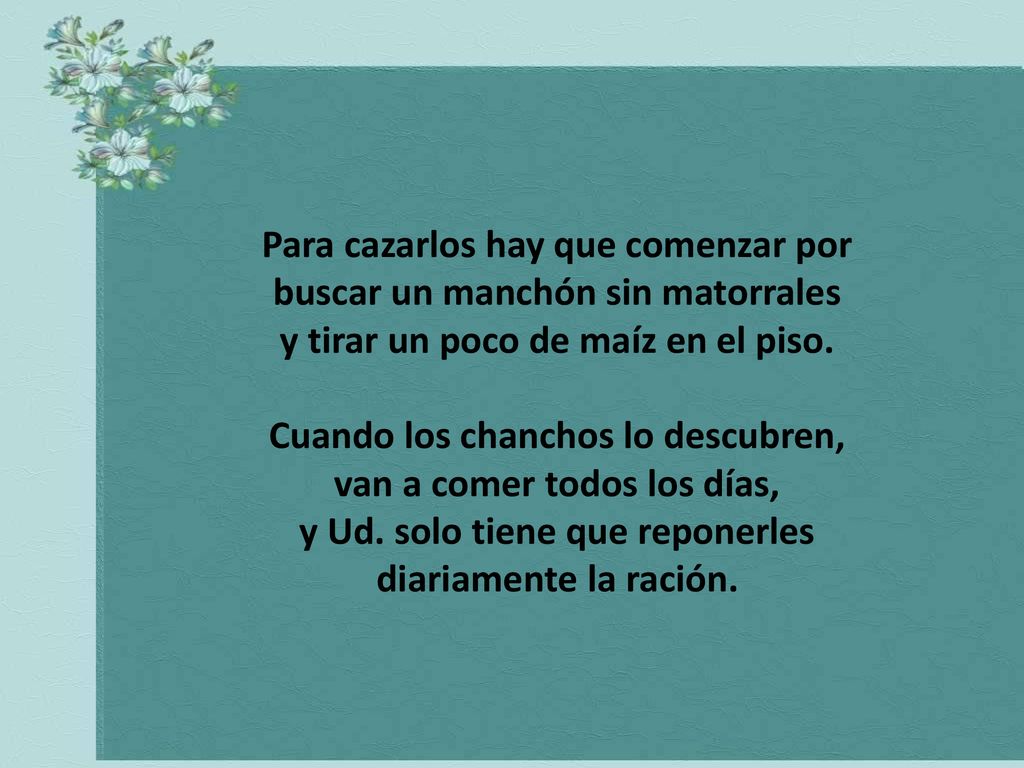 Para cazarlos hay que comenzar por buscar un manchón sin matorrales