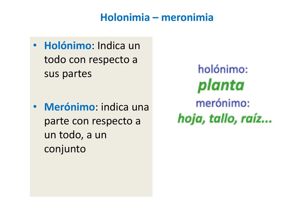 Holonimia – meronimia Holónimo: Indica un todo con respecto a sus partes.