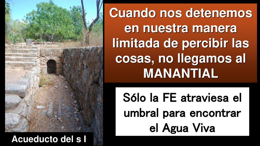 Sólo la FE atraviesa el umbral para encontrar el Agua Viva