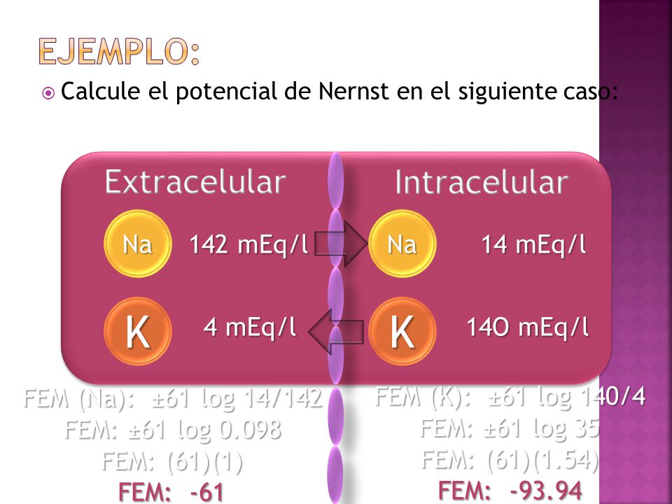 K K Ejemplo: Extracelular Intracelular Na Na 142 mEq/l 14 mEq/l