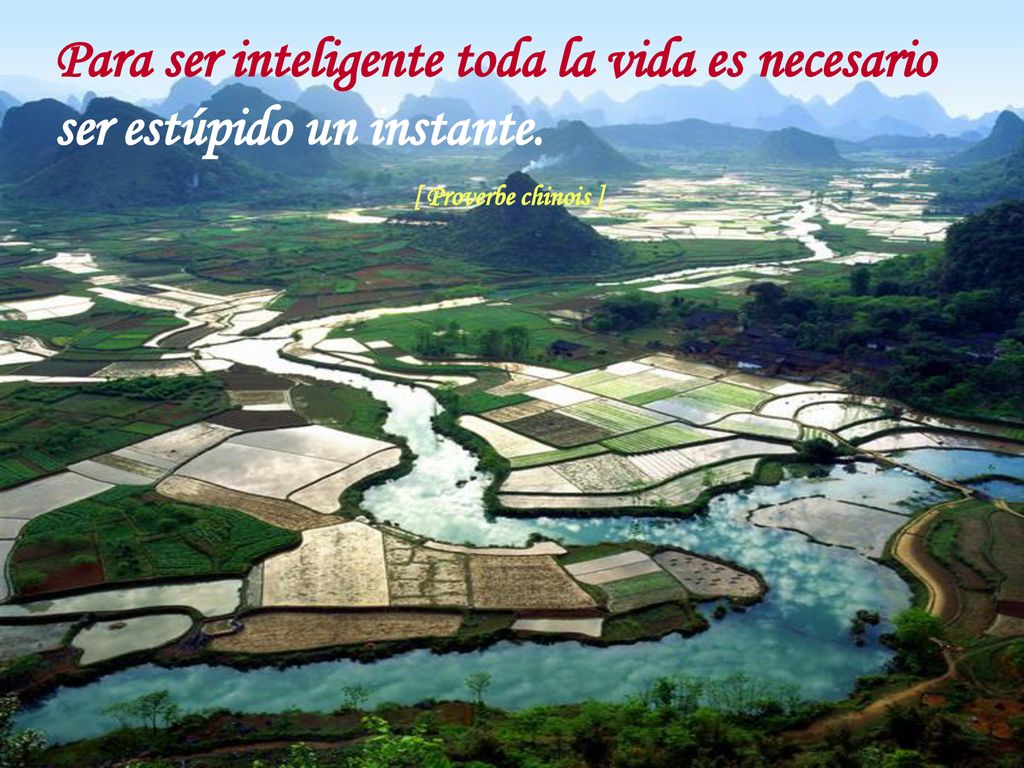 Para ser inteligente toda la vida es necesario ser estúpido un instante.