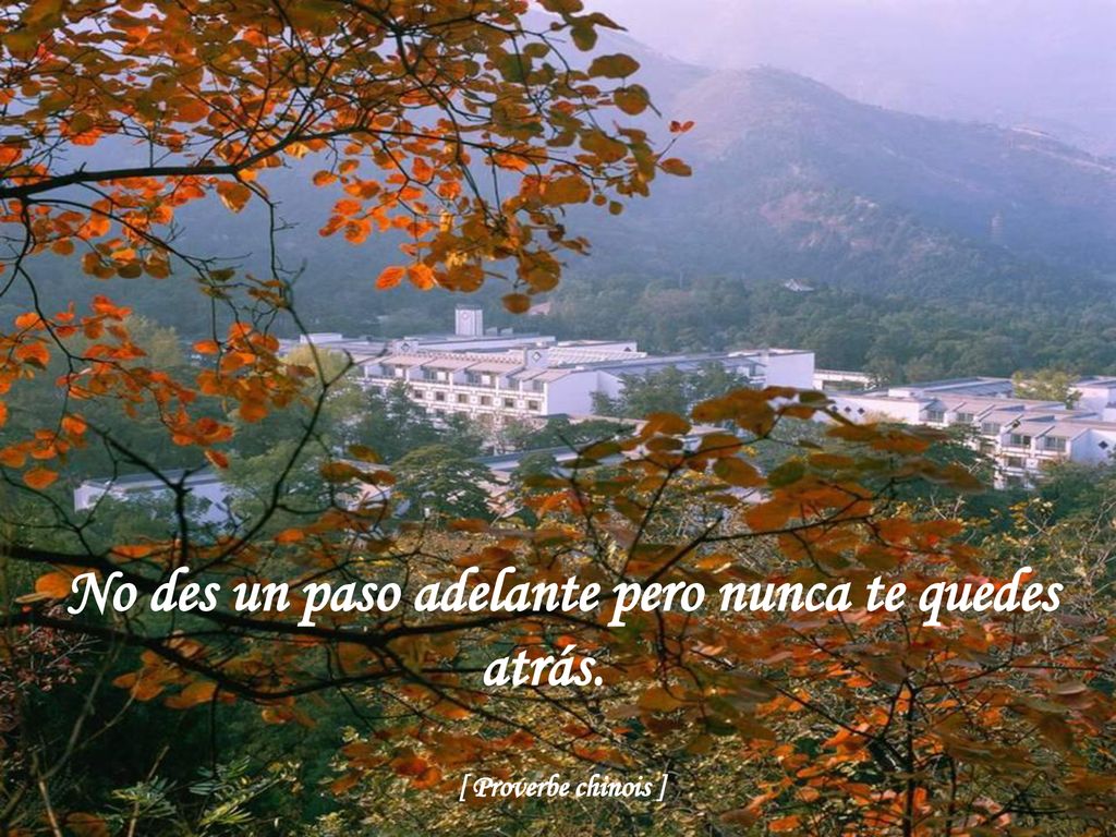 No des un paso adelante pero nunca te quedes atrás.