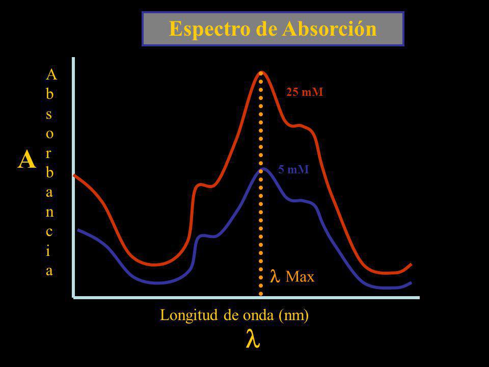 A l Espectro de Absorción l Absorbancia Max Longitud de onda (nm)
