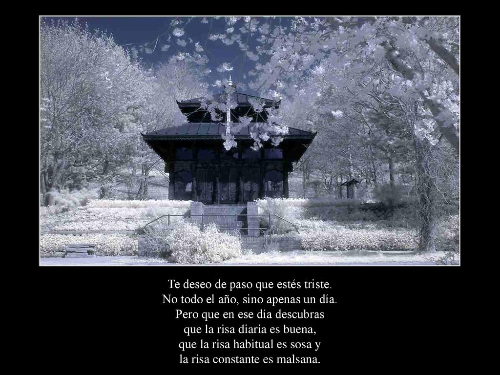 Te deseo de paso que estés triste. No todo el año, sino apenas un día