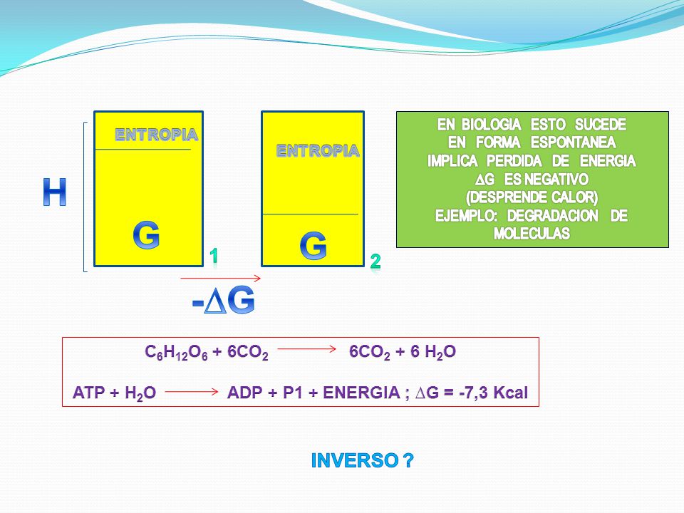 ATP + H2O ADP + P1 + ENERGIA ; ∆G = -7,3 Kcal