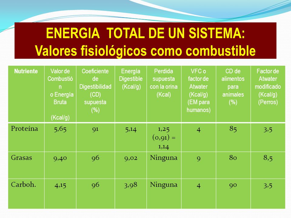 ENERGIA TOTAL DE UN SISTEMA: Valores fisiológicos como combustible
