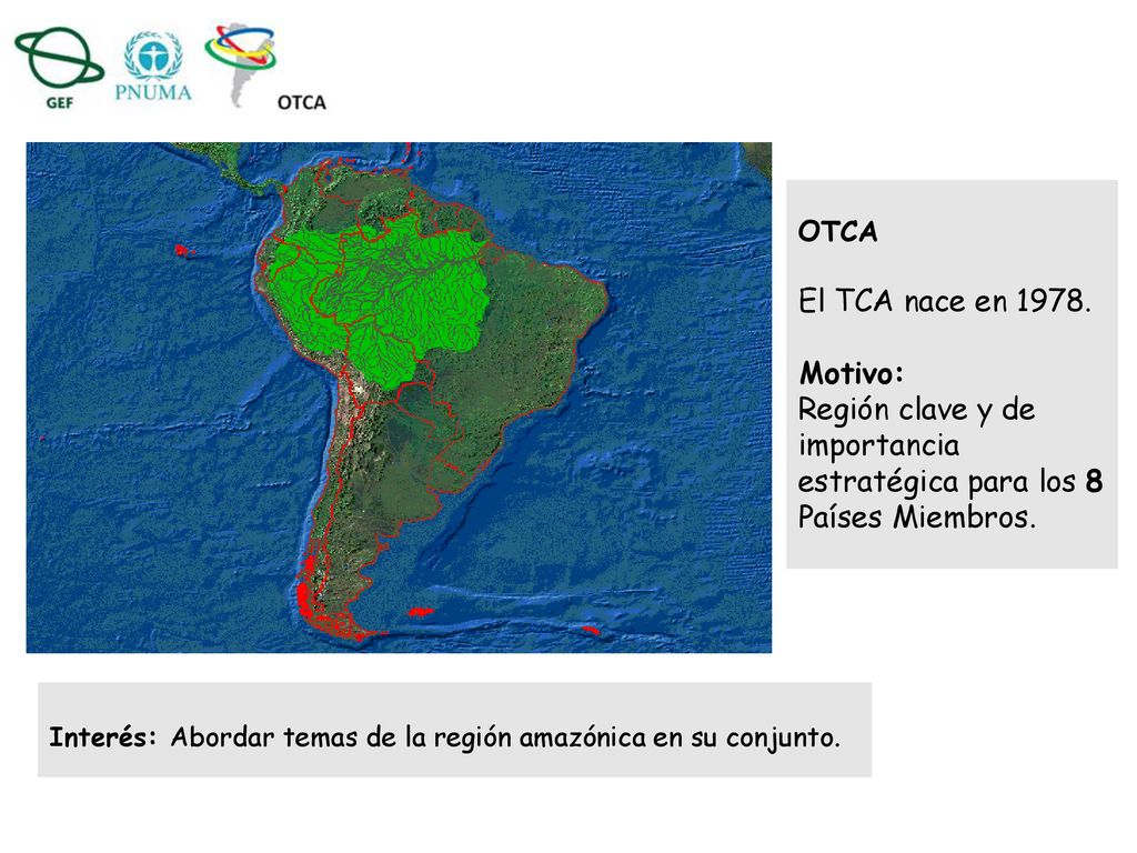 OTCA El TCA nace en Motivo: Región clave y de importancia estratégica para los 8 Países Miembros.
