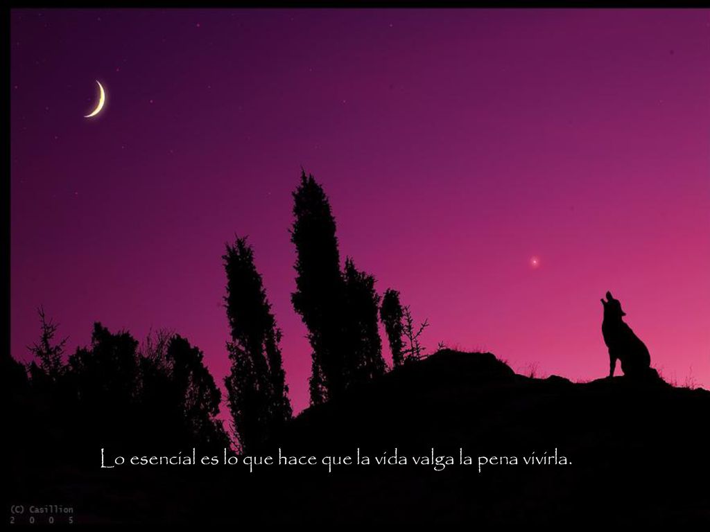 Lo esencial es lo que hace que la vida valga la pena vivirla.