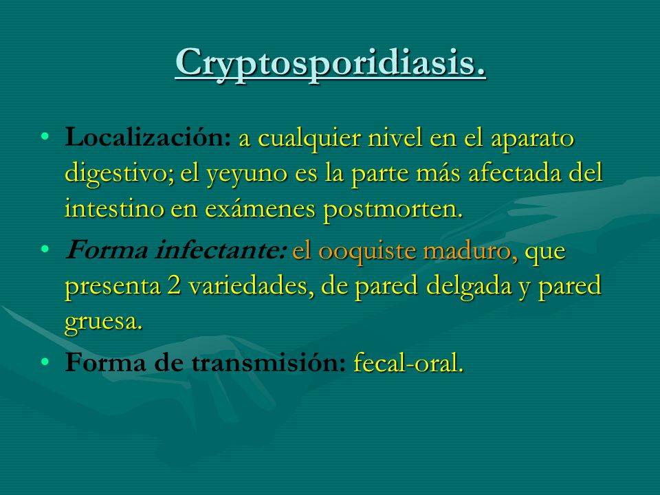 Cryptosporidiasis. Localización: a cualquier nivel en el aparato digestivo; el yeyuno es la parte más afectada del intestino en exámenes postmorten.