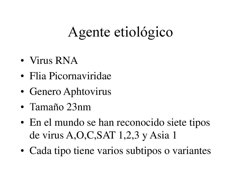 Agente etiológico Virus RNA Flia Picornaviridae Genero Aphtovirus