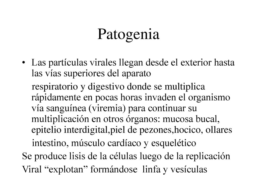 Patogenia Las partículas virales llegan desde el exterior hasta las vías superiores del aparato.