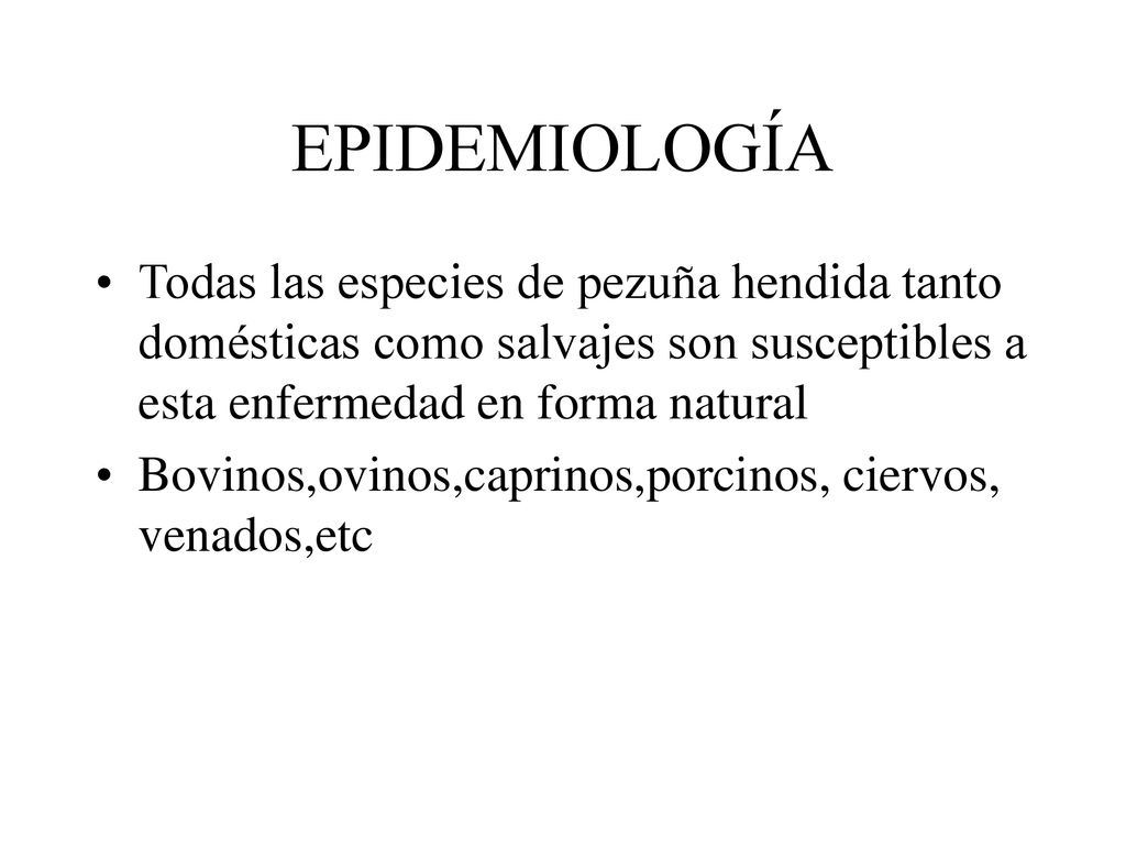 EPIDEMIOLOGÍA Todas las especies de pezuña hendida tanto domésticas como salvajes son susceptibles a esta enfermedad en forma natural.
