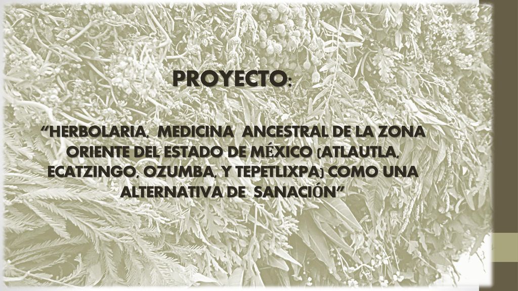 PROYECTO: HERBOLARIA, MEDICINA ANCESTRAL DE LA ZONA ORIENTE DEL ESTADO DE MÉXICO (ATLAUTLA, ECATZINGO, OZUMBA, Y TEPETLIXPA) COMO UNA ALTERNATIVA DE SANACIÓN