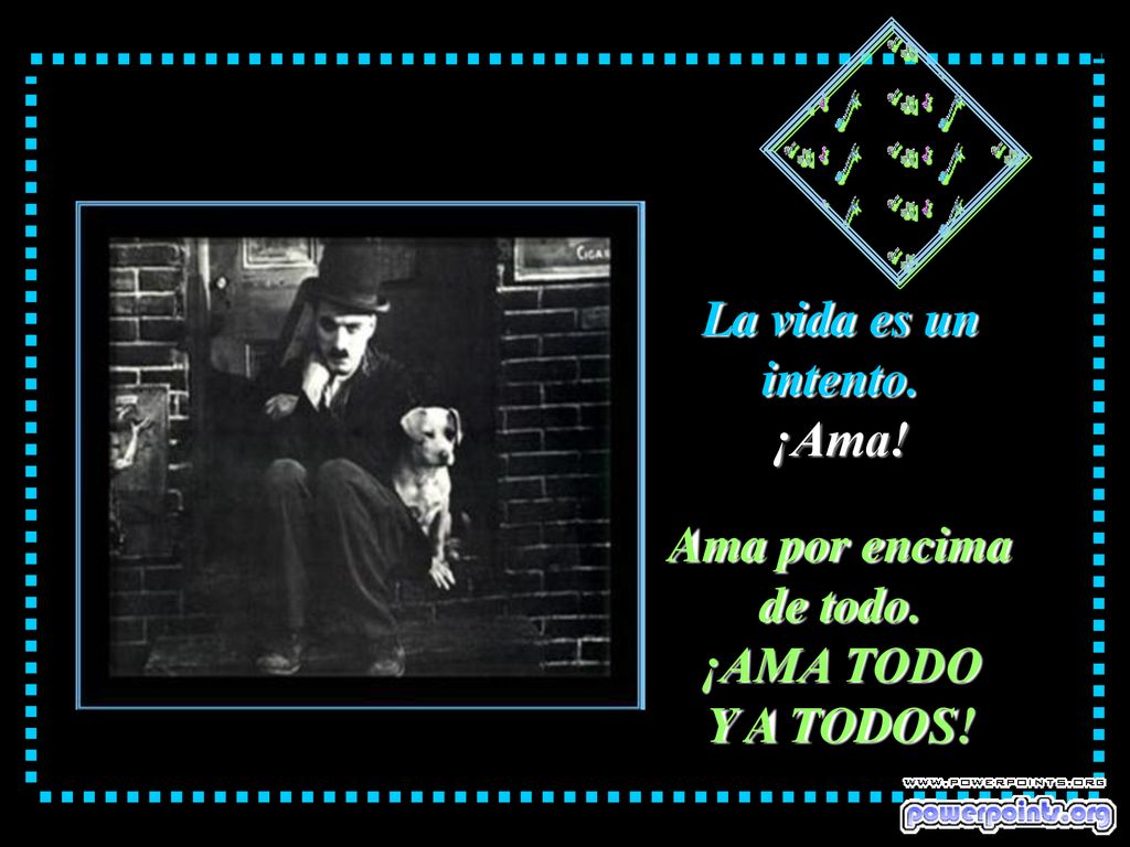 Ama por encima de todo. ¡AMA TODO Y A TODOS!