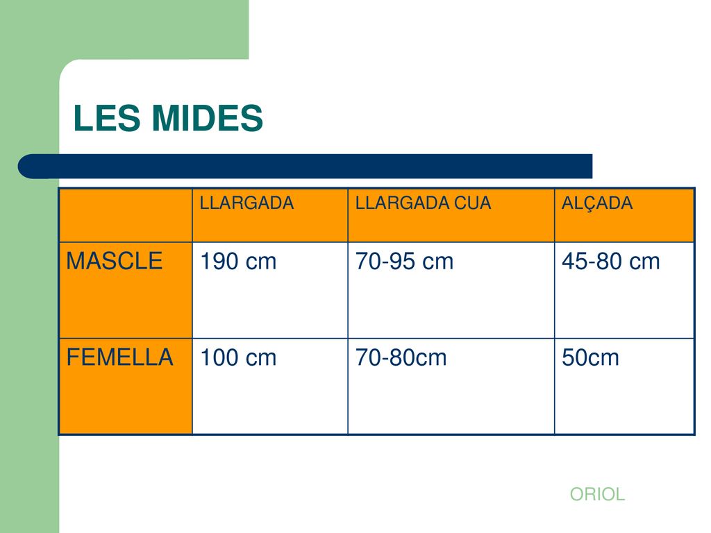LES MIDES MASCLE 190 cm cm cm FEMELLA 100 cm 70-80cm 50cm