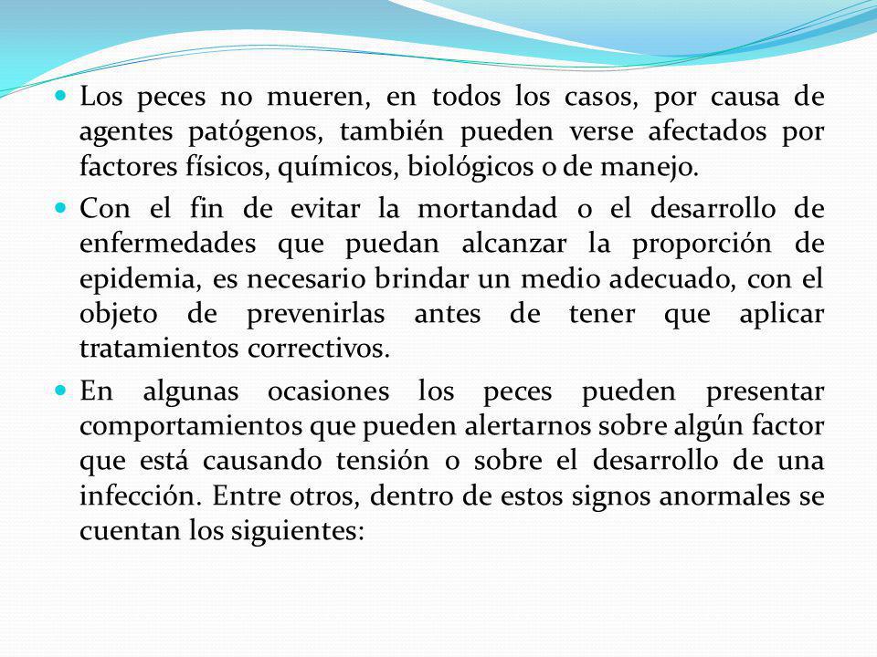 Los peces no mueren, en todos los casos, por causa de agentes patógenos, también pueden verse afectados por factores físicos, químicos, biológicos o de manejo.