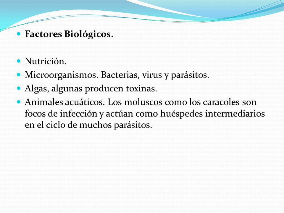 Factores Biológicos. Nutrición. Microorganismos. Bacterias, virus y parásitos. Algas, algunas producen toxinas.
