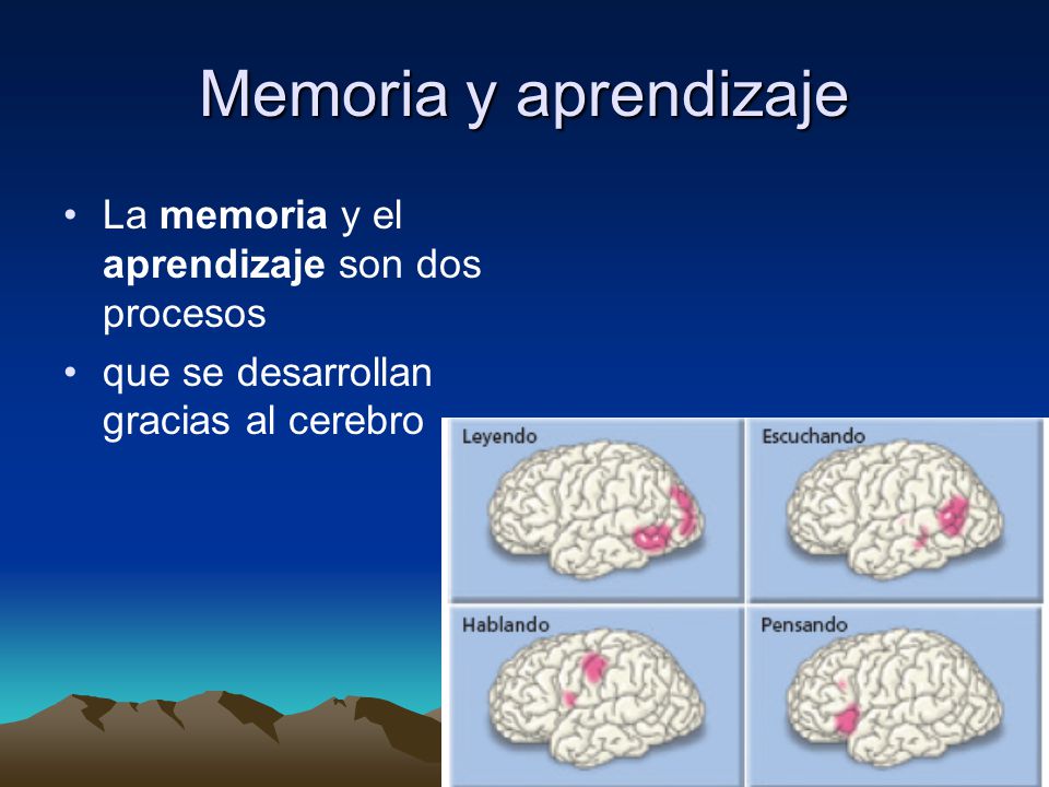 Memoria y aprendizaje La memoria y el aprendizaje son dos procesos