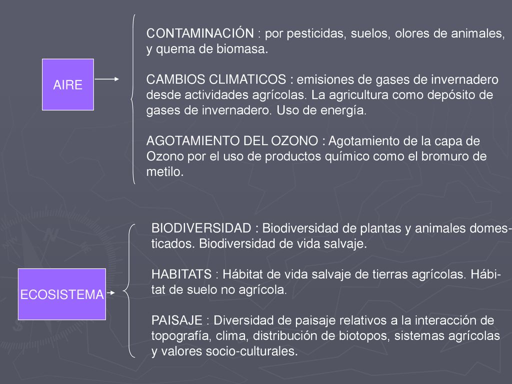 CONTAMINACIÓN : por pesticidas, suelos, olores de animales,