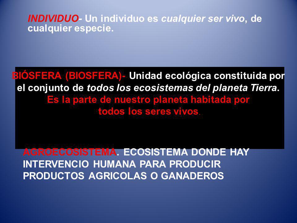 INDIVIDUO- Un individuo es cualquier ser vivo, de cualquier especie.