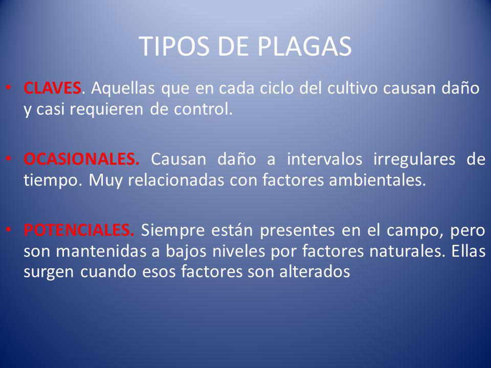 TIPOS DE PLAGAS CLAVES. Aquellas que en cada ciclo del cultivo causan daño y casi requieren de control.