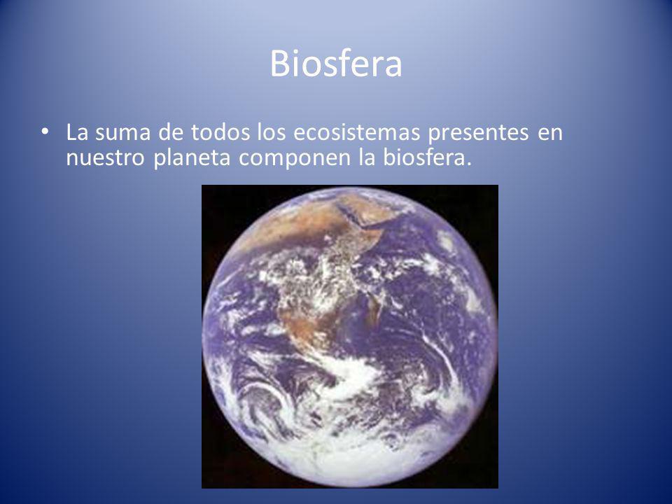Biosfera La suma de todos los ecosistemas presentes en nuestro planeta componen la biosfera.