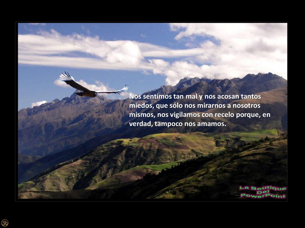 Nos sentimos tan mal y nos acosan tantos miedos, que sólo nos mirarnos a nosotros mismos, nos vigilamos con recelo porque, en verdad, tampoco nos amamos.