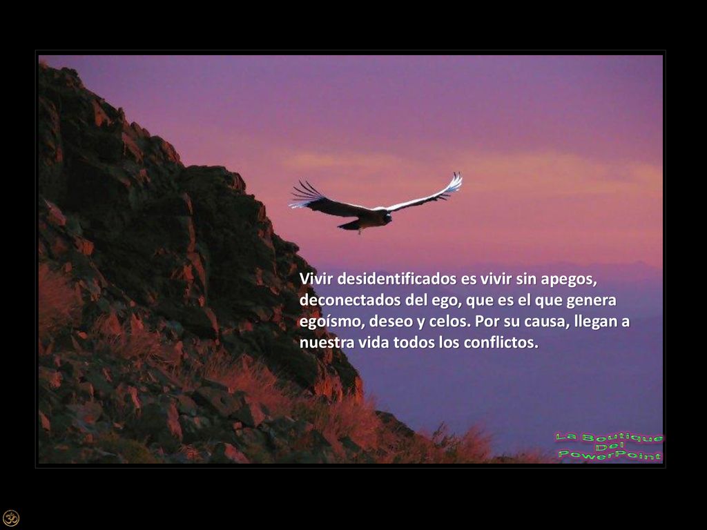 Vivir desidentificados es vivir sin apegos, deconectados del ego, que es el que genera egoísmo, deseo y celos.
