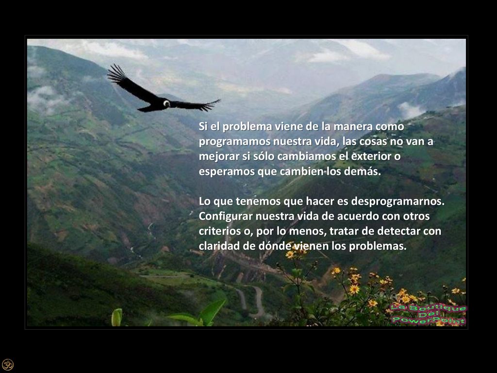 Si el problema viene de la manera como programamos nuestra vida, las cosas no van a mejorar si sólo cambiamos el exterior o esperamos que cambien los demás.