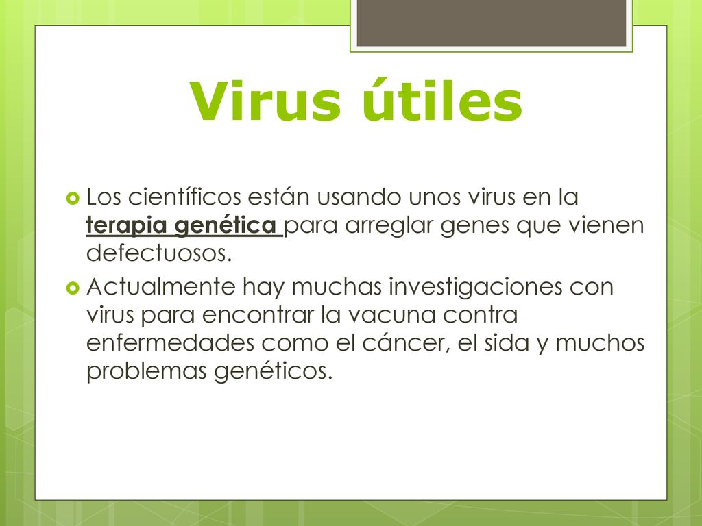 Virus útiles Los científicos están usando unos virus en la terapia genética para arreglar genes que vienen defectuosos.