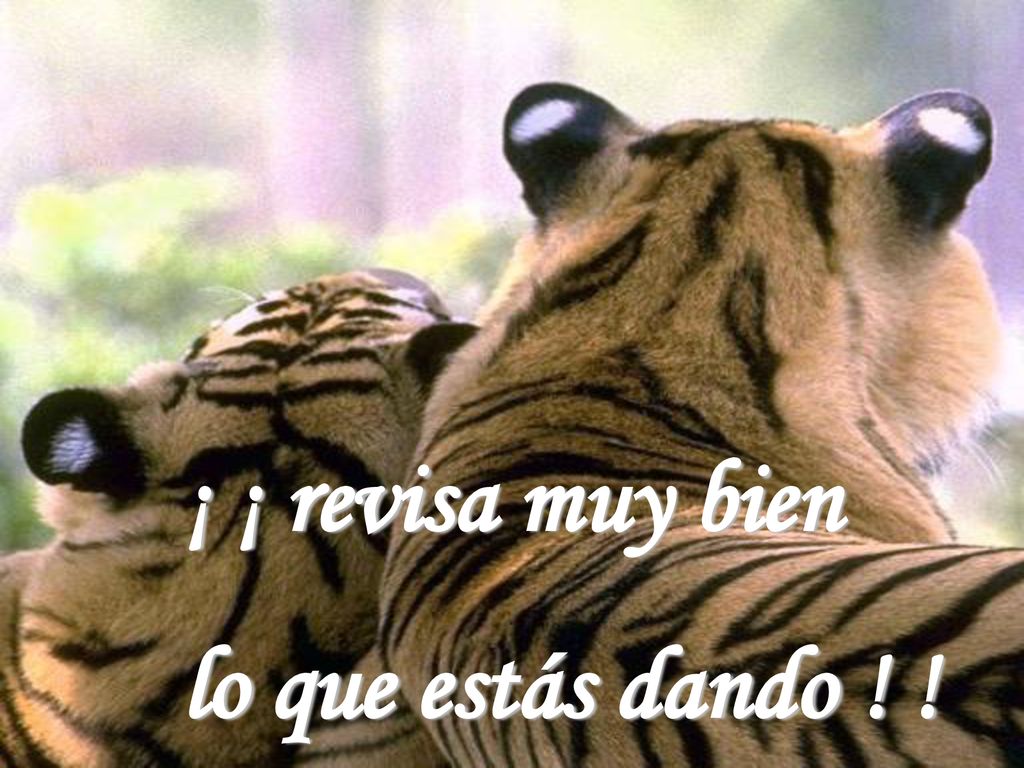 ¡ ¡ revisa muy bien lo que estás dando ! !