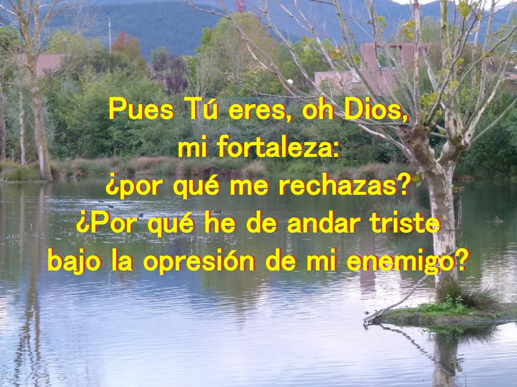 ¿Por qué he de andar triste bajo la opresión de mi enemigo
