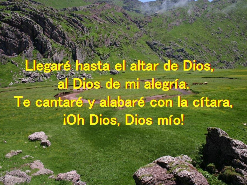 Llegaré hasta el altar de Dios, Te cantaré y alabaré con la cítara,
