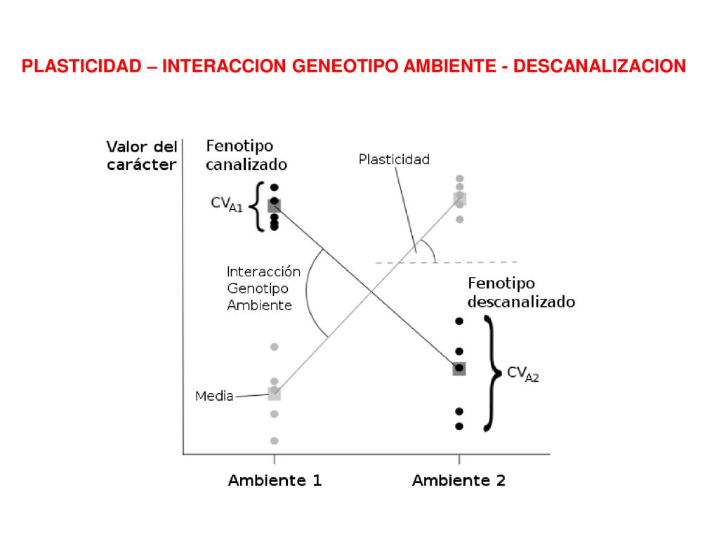PLASTICIDAD – INTERACCION GENEOTIPO AMBIENTE - DESCANALIZACION