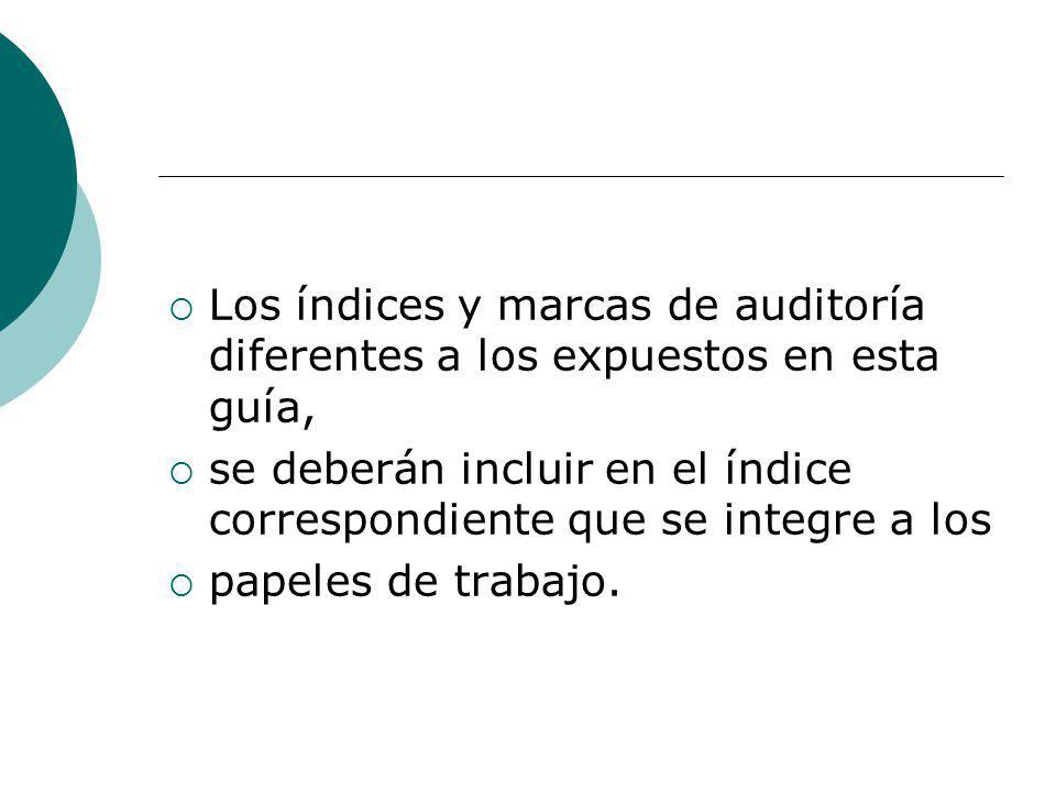 Los índices y marcas de auditoría diferentes a los expuestos en esta guía,