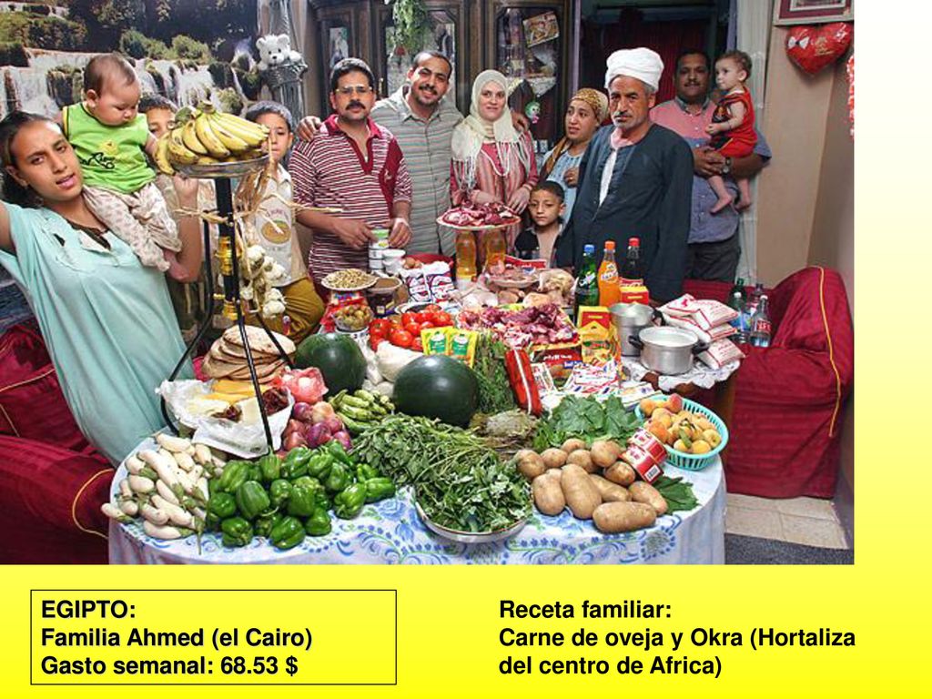 EGIPTO: Familia Ahmed (el Cairo) Gasto semanal: $ Receta familiar: Carne de oveja y Okra (Hortaliza del centro de Africa)