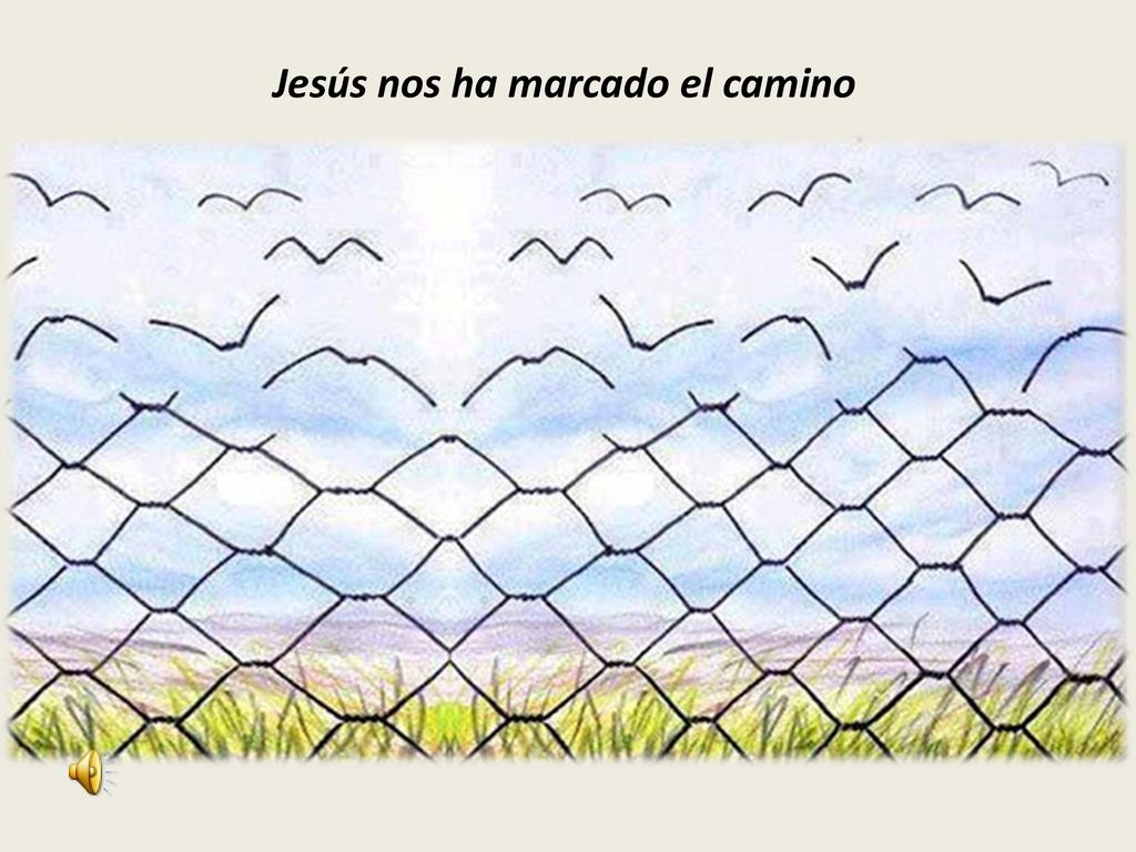 Jesús nos ha marcado el camino