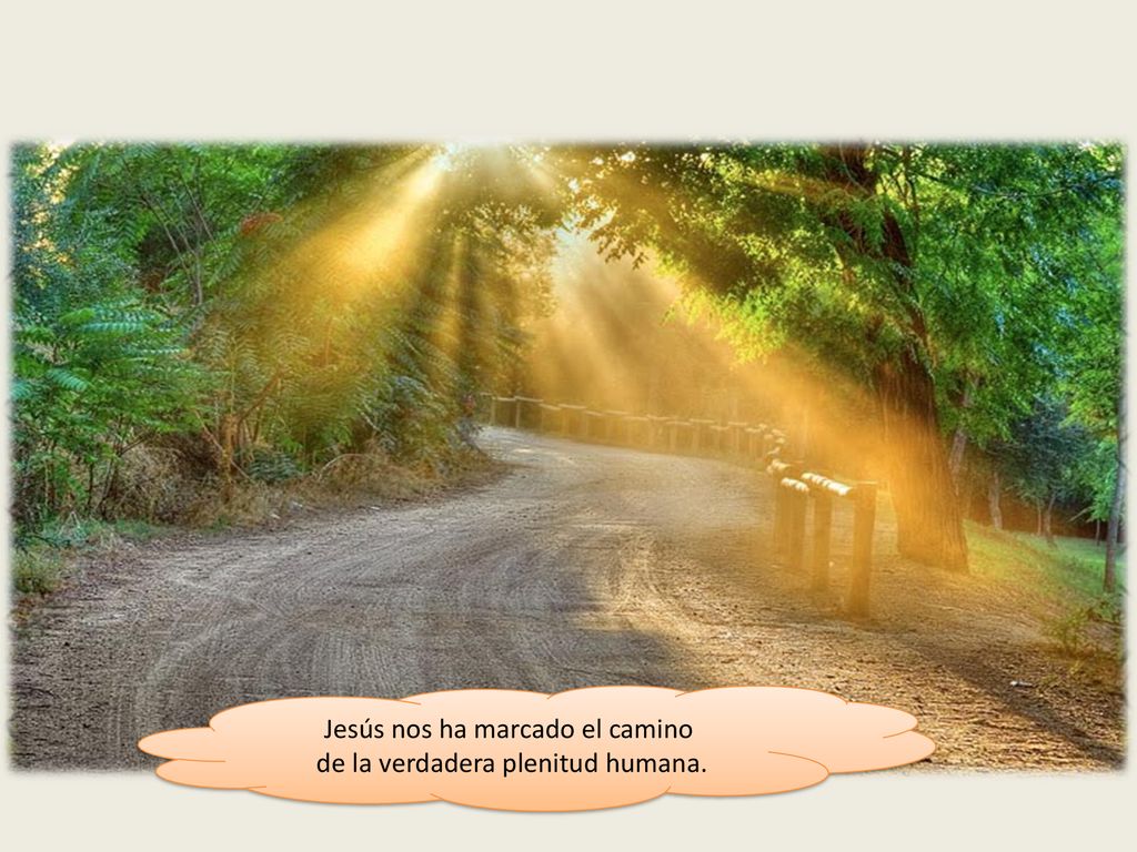 Jesús nos ha marcado el camino de la verdadera plenitud humana.