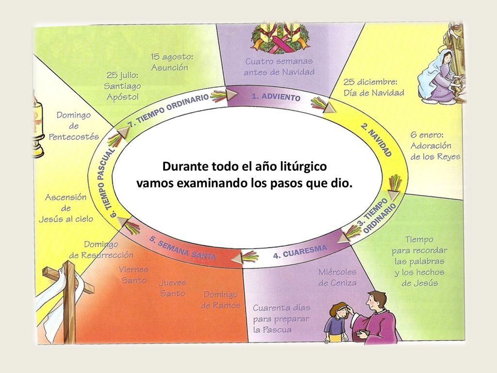 Durante todo el año litúrgico vamos examinando los pasos que dio.