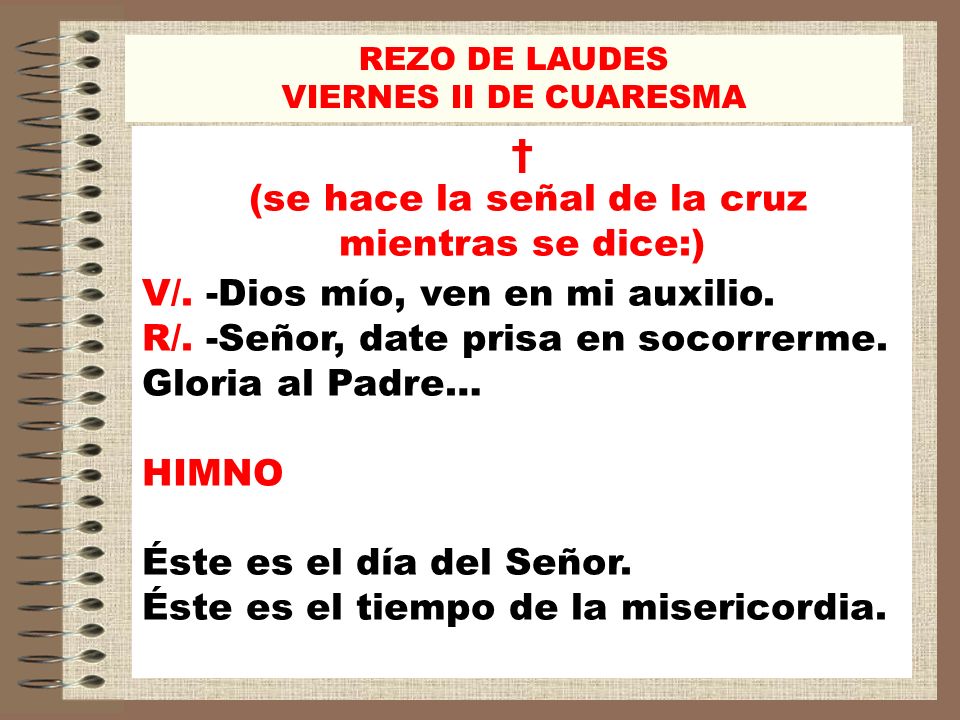 (se hace la señal de la cruz mientras se dice:)