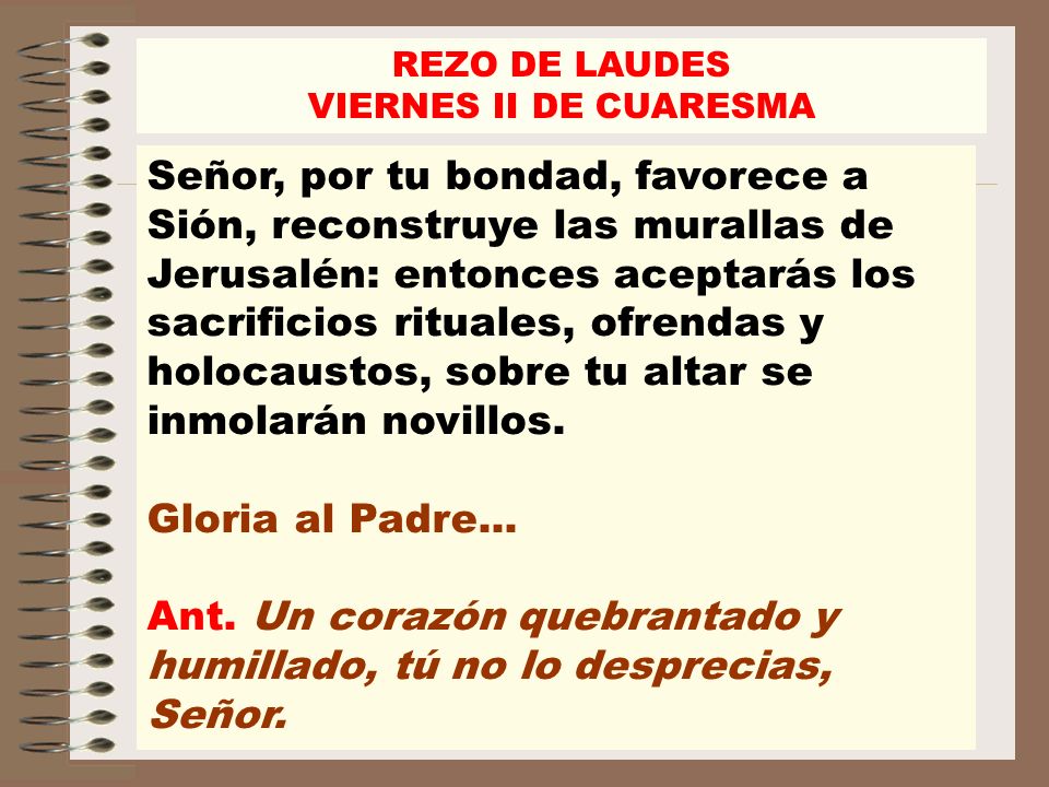 Ant. Un corazón quebrantado y humillado, tú no lo desprecias, Señor.