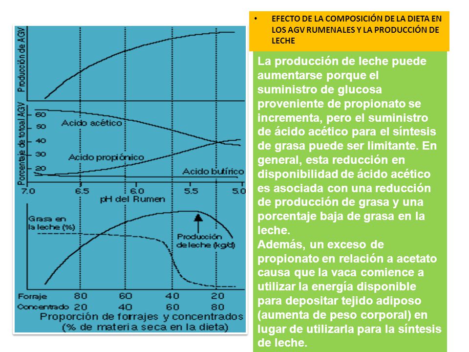 EFECTO DE LA COMPOSICIÓN DE LA DIETA EN LOS AGV RUMENALES Y LA PRODUCCIÓN DE LECHE
