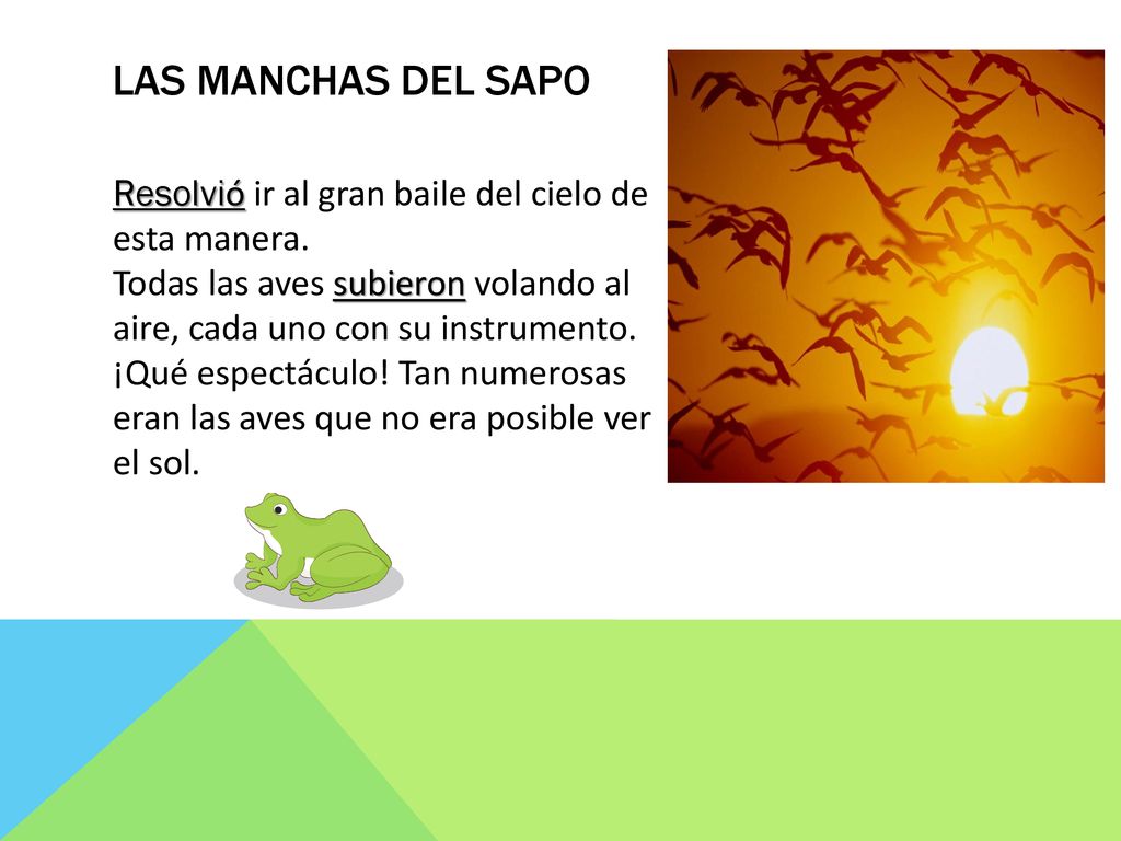 Las manchas del sapo Resolvió ir al gran baile del cielo de esta manera. Todas las aves subieron volando al aire, cada uno con su instrumento.