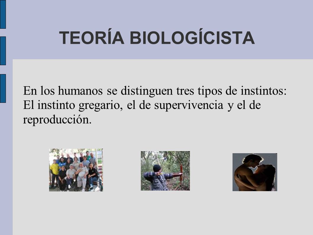 TEORÍA BIOLOGÍCISTA En los humanos se distinguen tres tipos de instintos: El instinto gregario, el de supervivencia y el de reproducción.