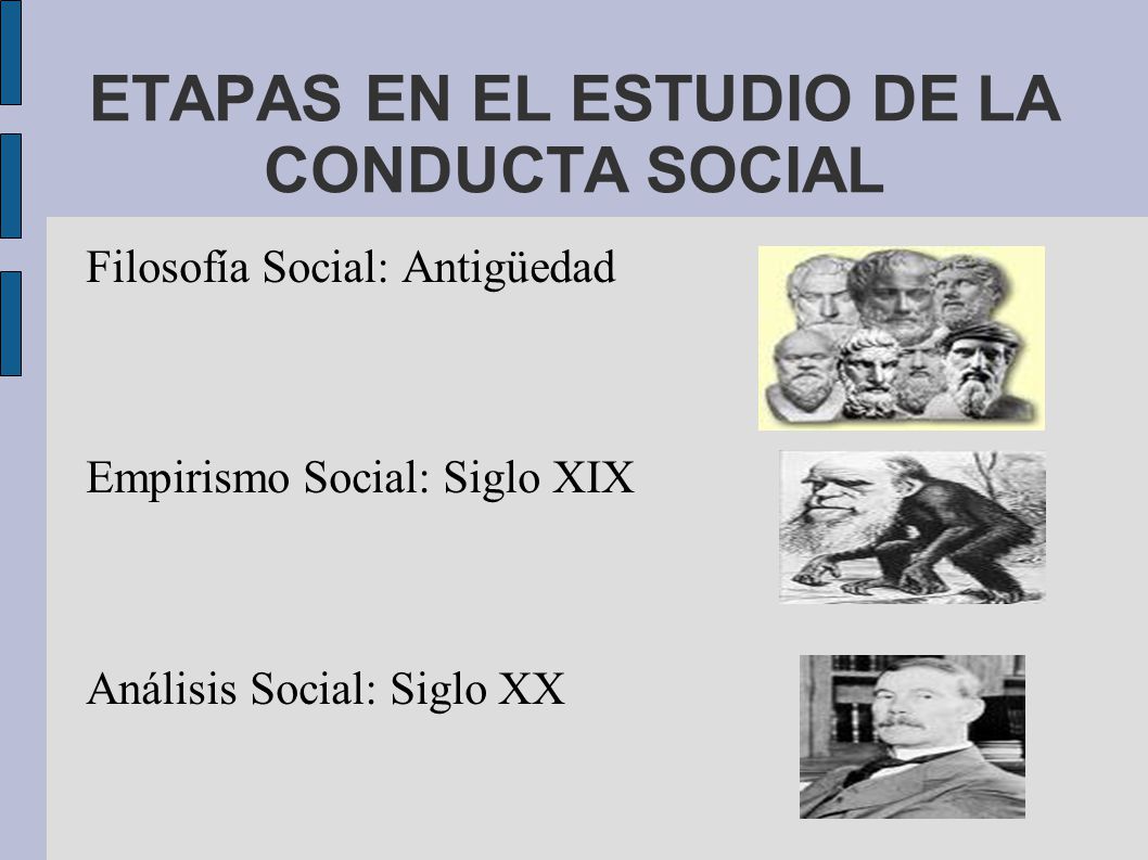 ETAPAS EN EL ESTUDIO DE LA CONDUCTA SOCIAL