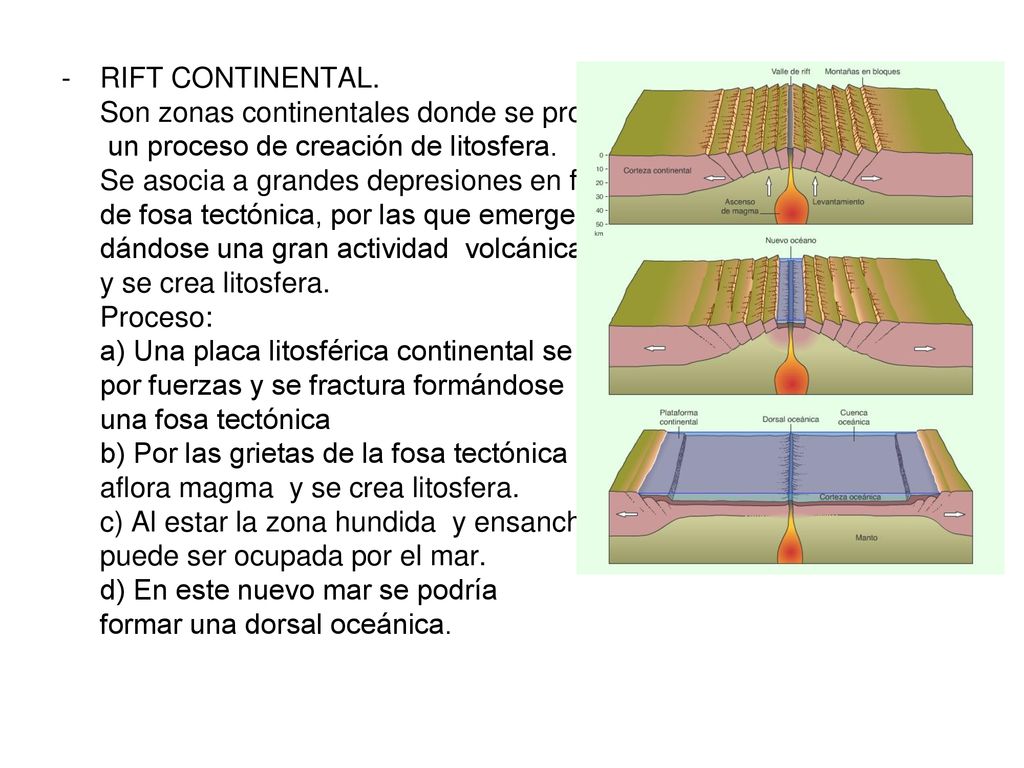 RIFT CONTINENTAL. Son zonas continentales donde se produce. un proceso de creación de litosfera. Se asocia a grandes depresiones en forma.
