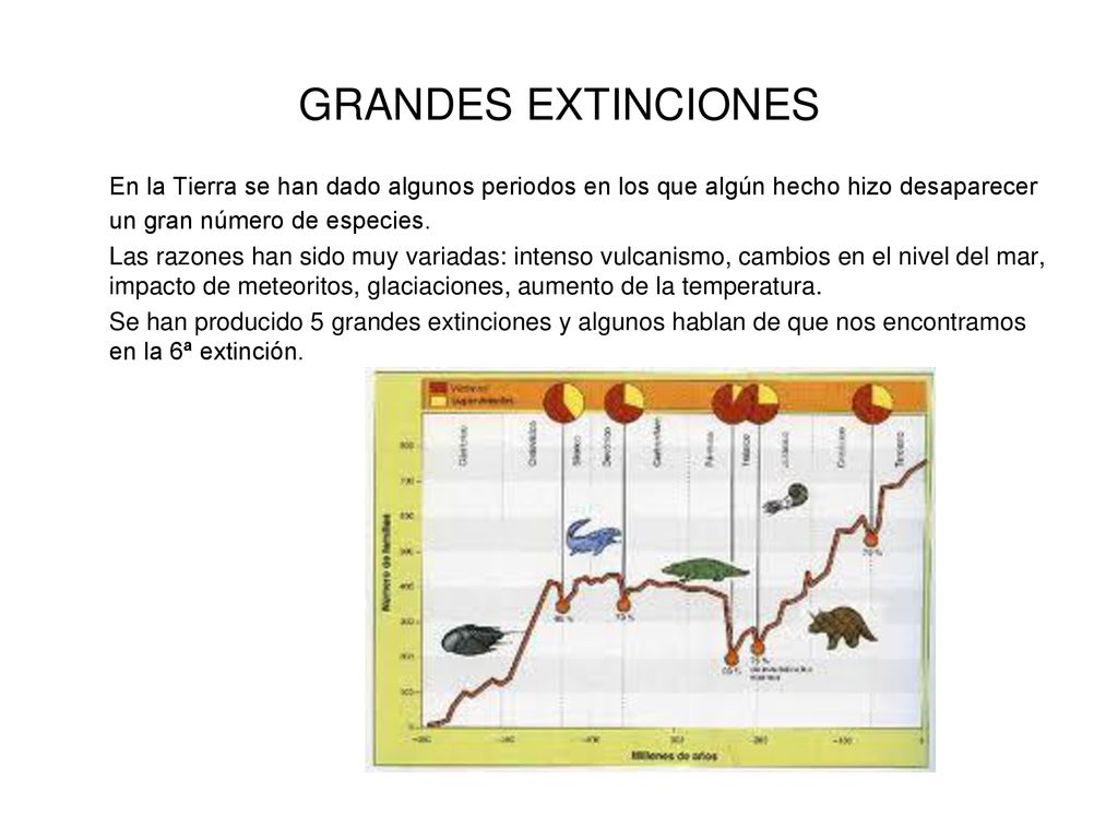 GRANDES EXTINCIONES En la Tierra se han dado algunos periodos en los que algún hecho hizo desaparecer un gran número de especies.