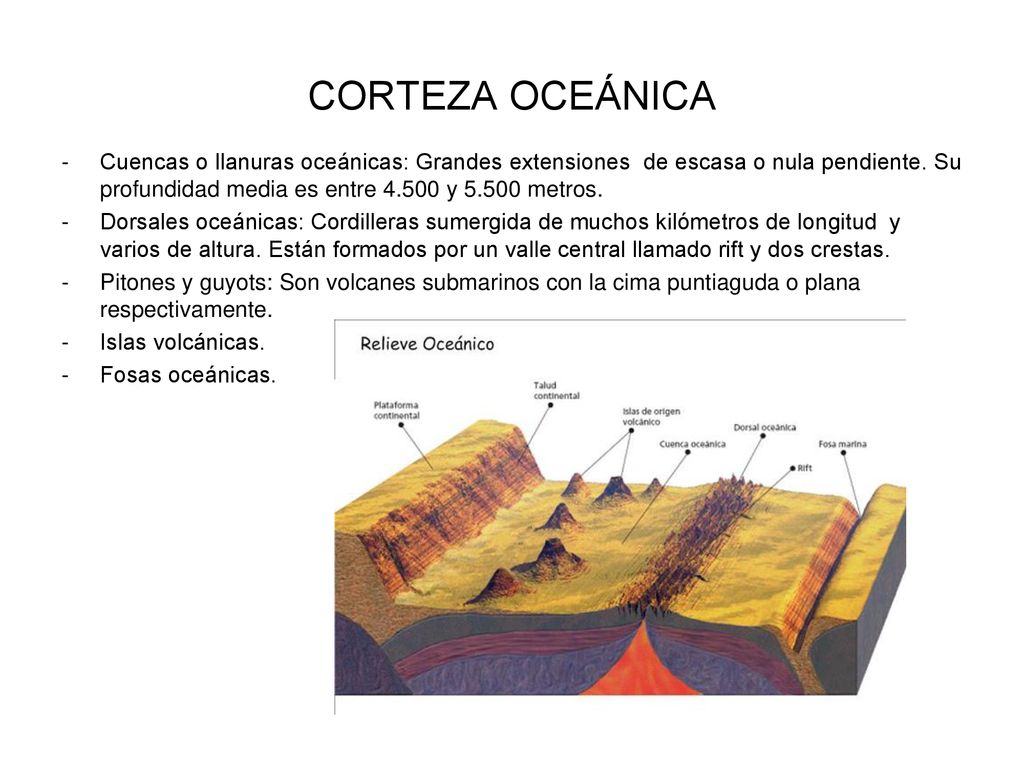 CORTEZA OCEÁNICA Cuencas o llanuras oceánicas: Grandes extensiones de escasa o nula pendiente. Su profundidad media es entre y metros.