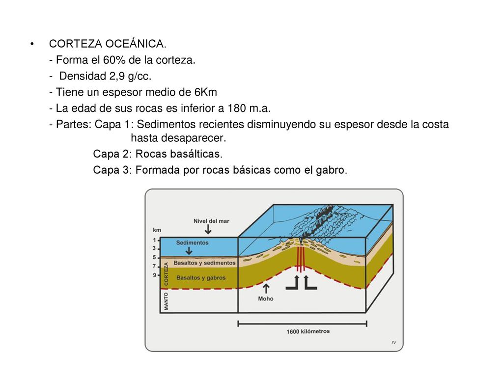 CORTEZA OCEÁNICA. - Forma el 60% de la corteza. - Densidad 2,9 g/cc. - Tiene un espesor medio de 6Km.